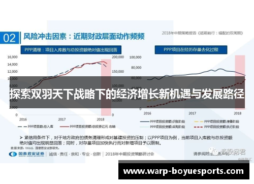 探索双羽天下战略下的经济增长新机遇与发展路径