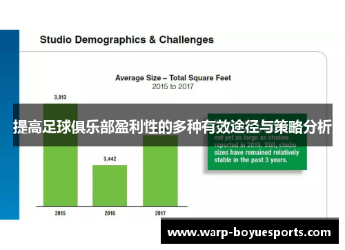 提高足球俱乐部盈利性的多种有效途径与策略分析 提高足球俱乐部盈利性的多种有效途径与策略分析