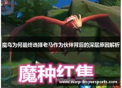 魔鸟为何最终选择老马作为伙伴背后的深层原因解析
